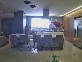 voyeurcam casa salsa fishtank